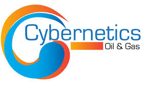 cyberneticsoil.